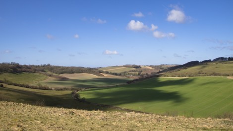 26006257292_6e3afa317f_o